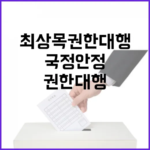 국정 안정 최상목 …