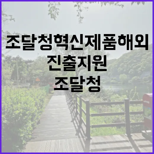 조달청 혁신제품 해…