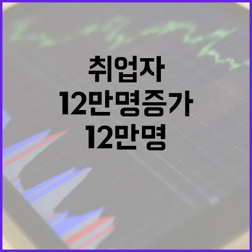 취업자 감소 올해 12만명 증가 예측!