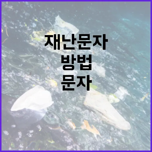 폭설 발송…재난문자…