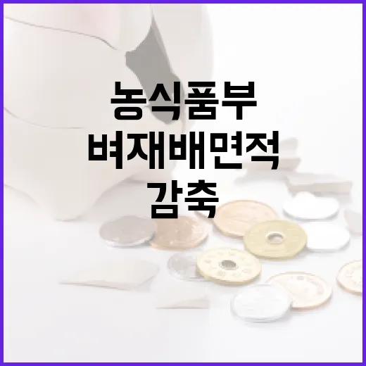 벼 재배면적 감축 농식품부의 결정 배경은?