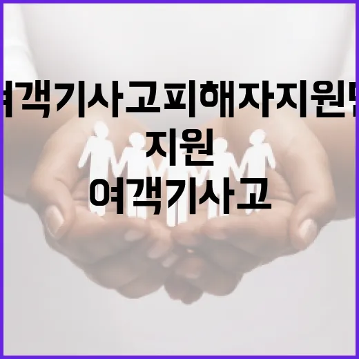 여객기 사고 피해자…