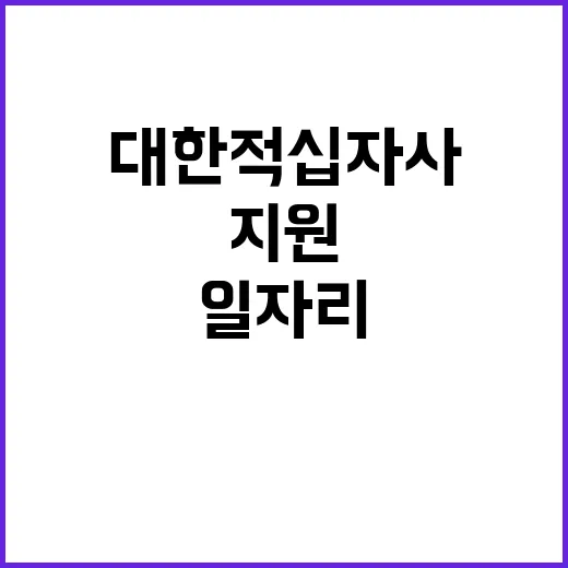 대한적십자사 비정규…