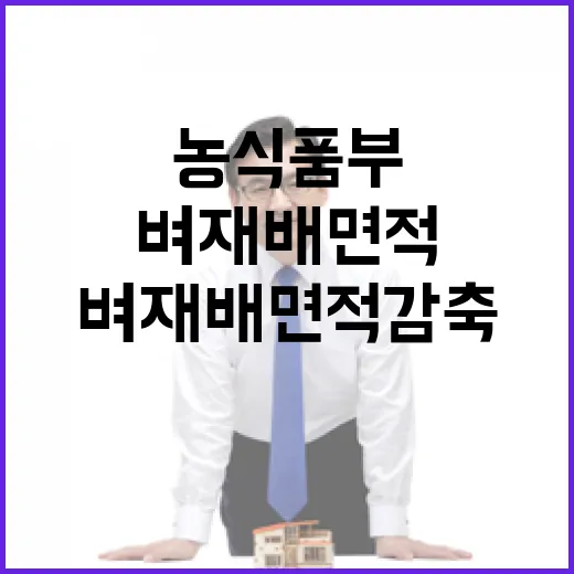 농식품부 벼 재배 …