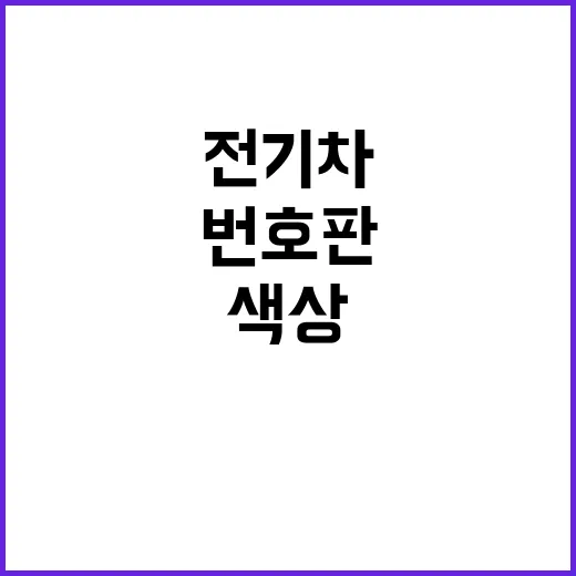 전기차 번호판, 색…