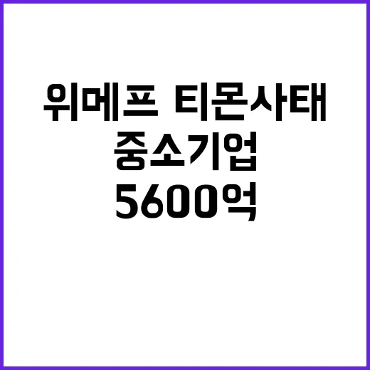 위메프·티몬 사태,…