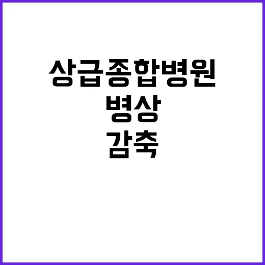 상급종합병원, 병상…