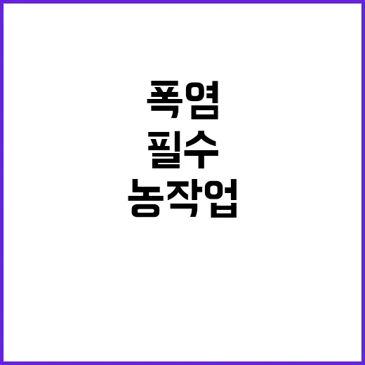 폭염 경고! 야외활…