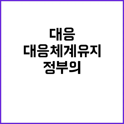 증시 조정, 정부의…