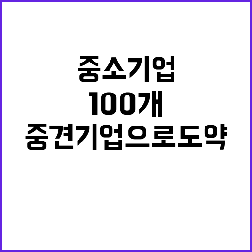 중소기업, 100개 선정해 중견기업으로 도약 지원!