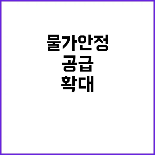 배추 확대 공급 물…