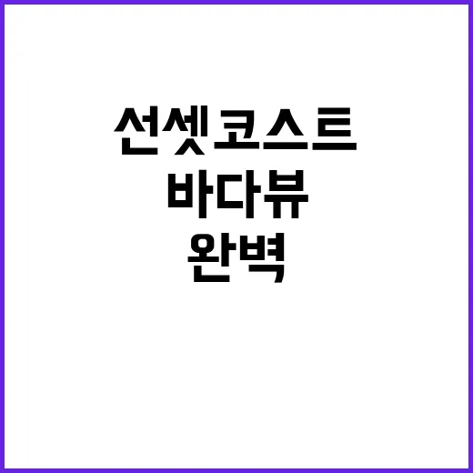 선셋코스트 바다뷰 …