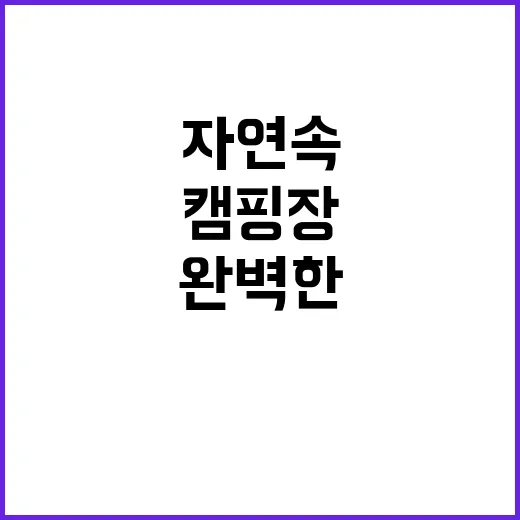 선흘리캠핑장