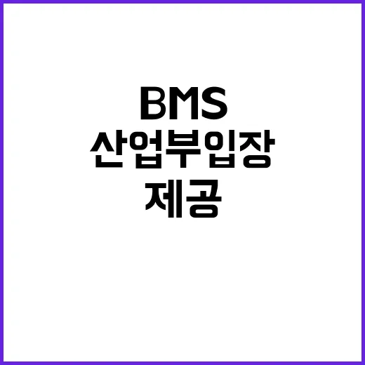 “BMS 정보 제공…