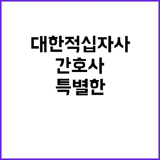 대한적십자사 제주특별자치도지사  육아휴직 대체인력 [간호사,응급구조사] 채용공고