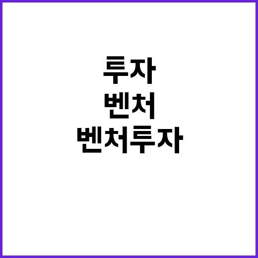 벤처투자 올해 5조…