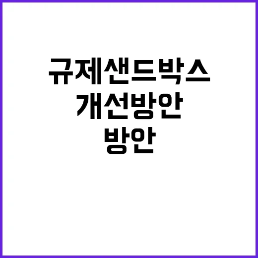 규제샌드박스 실질적…