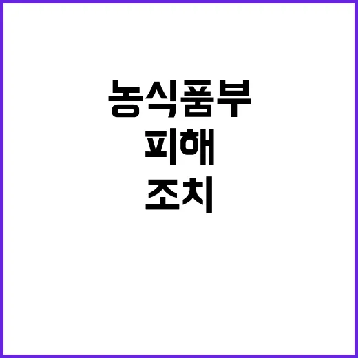 스마트팜 피해 농식…