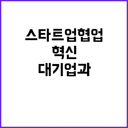 혁신기술 대기업과 스타트업 협업 시작됐다!