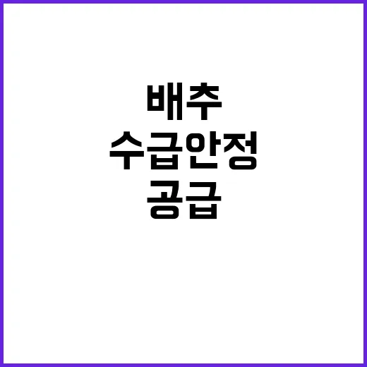 수급 안정 정부의 …