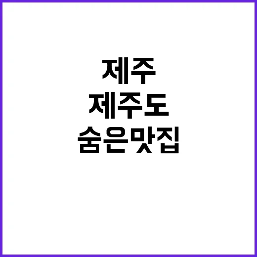 제주 응 