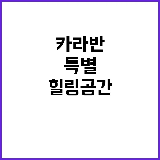 제주 할리데이 카라…