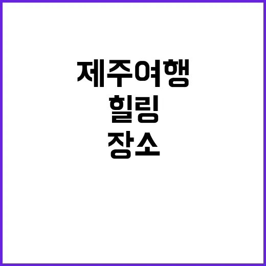 최남단글램핑 특별한…