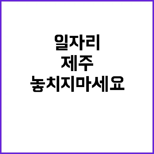 제주대학교병원 전일제 계약직 및 단시간 계약직(장애인_검진안내 및 업무보조 등) 블라인드 모집공고