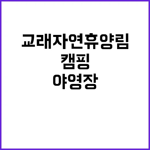 교래자연휴양림 야영…