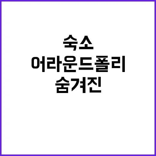 어라운드폴리 숨겨진…