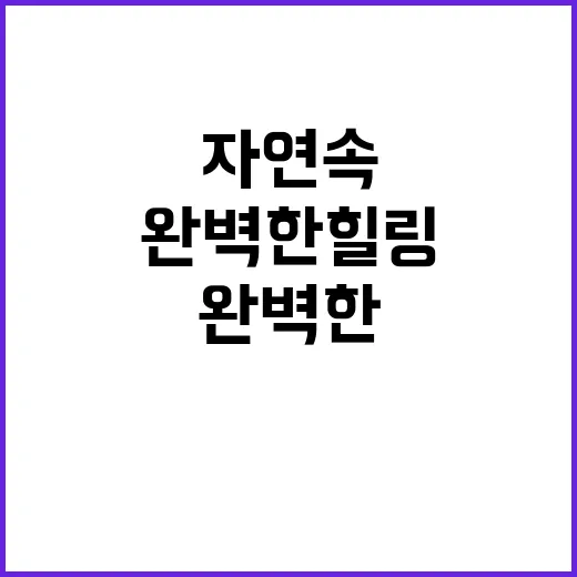 랑글램핑 완벽한 힐…