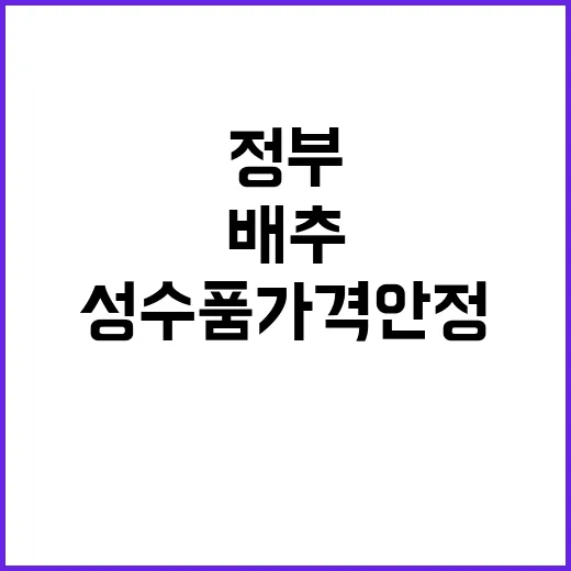 정부 성수품 가격안…