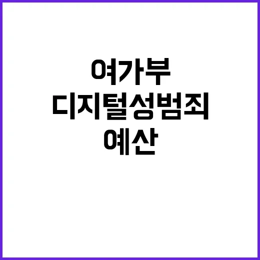 디지털성범죄 예산 여가부의 지속적 증액 계획!