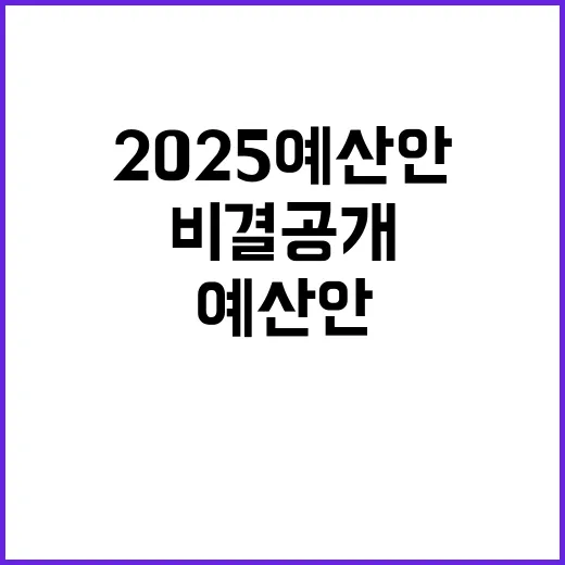 2025 예산안 살림살이 도움 주는 비결 공개!