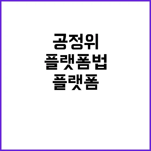 공정위 “플랫폼 법…