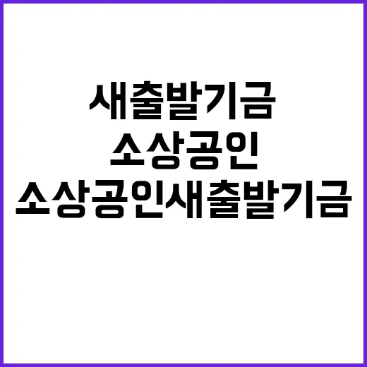 소상공인 새출발기금 5000억 원 올해보다 증가!