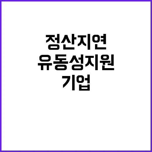 정산지연 유동성 지원받는 기업들의 새로운 희망