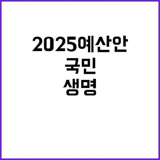 2025 예산안 국…