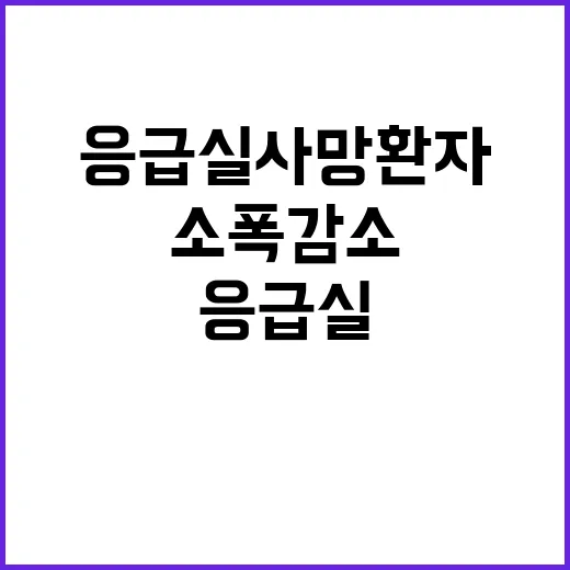 응급실 사망환자 수…