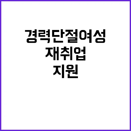 재취업 지원 경력단…