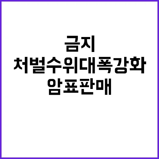 암표 판매 금지 처…