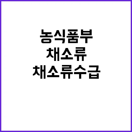 농식품부 발표 채소류 수급상황 개선 기대!