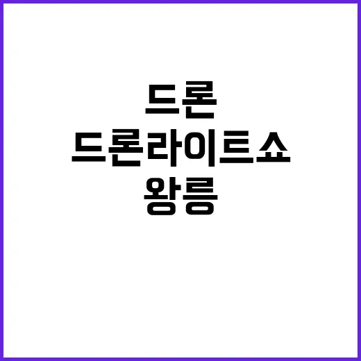 왕릉 드론 라이트쇼…