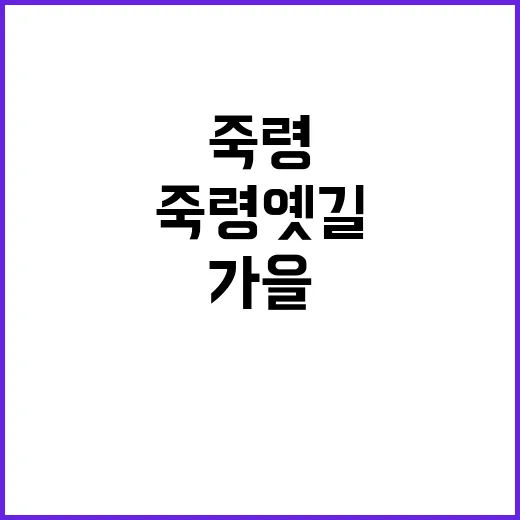 가을 탐방로 소백산 죽령옛길 포함 7곳 공개!