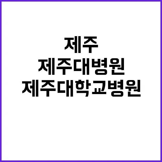 제주대학교병원 정규…