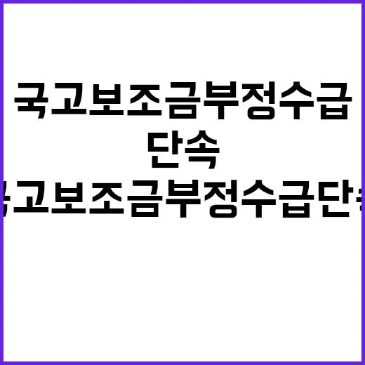 국고보조금 부정수급 단속 강화 소식! 클릭하세요!