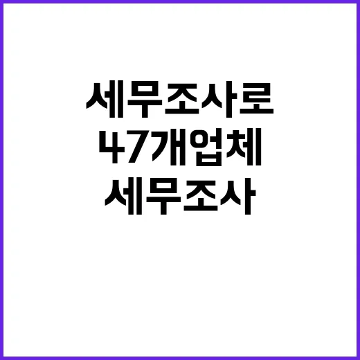 국세청 47개 업체…