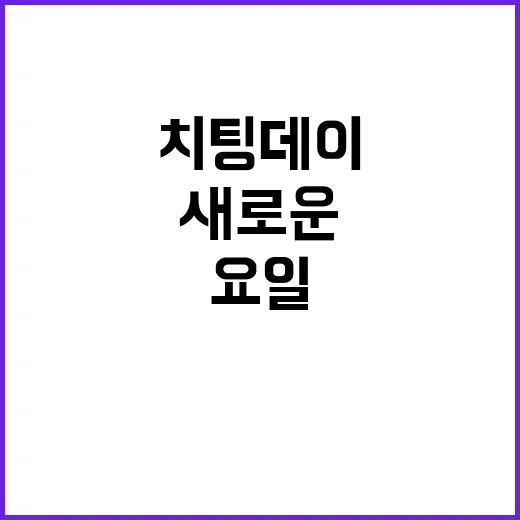 치팅데이 대신 새로…