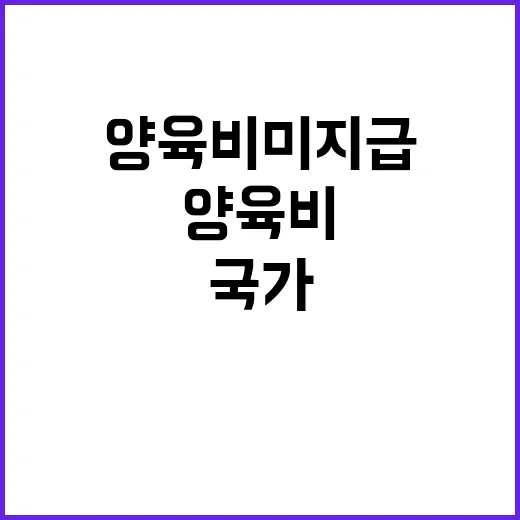 양육비 미지급 국가…