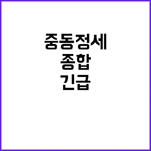 중동정세 긴급 대응…